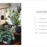 RHS House Plant - thumbnail of spread image 1 Thumbnail image of RHS House Plant - 1