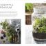 RHS House Plant - thumbnail of spread image 2 Thumbnail image of RHS House Plant - 2