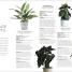 RHS House Plant - thumbnail of spread image 4 Thumbnail image of RHS House Plant - 4