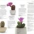 RHS House Plant - thumbnail of spread image 5 Thumbnail image of RHS House Plant - 5