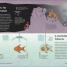Simply Emerging Technology - thumbnail of spread image 8 Thumbnail image of Simply Emerging Technology - 8