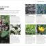 Thumbnail image of RHS How to Garden When You're New to Gardening - 2