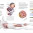 Science of Swimming - thumbnail of spread image 2 Thumbnail image of Science of Swimming - 2