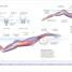 Science of Swimming - thumbnail of spread image 4 Thumbnail image of Science of Swimming - 4