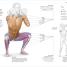 Science of Swimming - thumbnail of spread image 6 Thumbnail image of Science of Swimming - 6