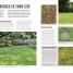 Grow Lawns - thumbnail of spread image 3 Thumbnail image of Grow Lawns - 3