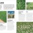 Grow Lawns - thumbnail of spread image 4 Thumbnail image of Grow Lawns - 4