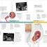 Thumbnail image of The Pregnancy Encyclopedia - 2