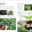 Thumbnail image of The Beginner's Photography Guide - 4