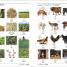 Arabic English Bilingual Visual Dictionary - thumbnail of spread image 3 Thumbnail image of Arabic English Bilingual Visual Dictionary - 3