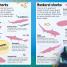 Sticker Encyclopedia Sharks - thumbnail of spread image 2 Thumbnail image of Sticker Encyclopedia Sharks - 2