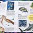 Sticker Encyclopedia Sharks - thumbnail of spread image 3 Thumbnail image of Sticker Encyclopedia Sharks - 3
