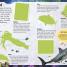 Sticker Encyclopedia Sharks - thumbnail of spread image 4 Thumbnail image of Sticker Encyclopedia Sharks - 4