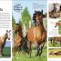 Thumbnail image of Horse - 1