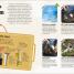 Magical Miniature Worlds - thumbnail of spread image 1 Thumbnail image of Magical Miniature Worlds - 1