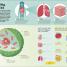 Brain Booster Human Body - thumbnail of spread image 1 Thumbnail image of Brain Booster Human Body - 1