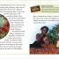 DK Super Readers Level 3 The Story of Chocolate - thumbnail of spread image 3 Thumbnail image of DK Super Readers Level 3 The Story of Chocolate - 3