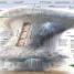 Knowledge Encyclopedia Science, 2nd Edition - thumbnail of spread image 3 Thumbnail image of Knowledge Encyclopedia Science, 2nd Edition - 3
