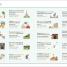 English for Everyone Course Book Level 4 Advanced - thumbnail of spread image 2 Thumbnail image of English for Everyone Course Book Level 4 Advanced - 2