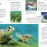 Ocean A Children's Encyclopedia, 2nd Edition - thumbnail of spread image 3 Thumbnail image of Ocean A Children's Encyclopedia, 2nd Edition - 3