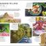 DK Peru - thumbnail of spread image 2 Thumbnail image of DK Peru - 2