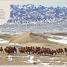 Desert - thumbnail of spread image 1 Thumbnail image of Desert - 1