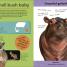 Quiz Yourself Clever! Animals of the World - thumbnail of spread image 1 Thumbnail image of Quiz Yourself Clever! Animals of the World - 1