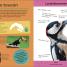 Quiz Yourself Clever! Animals of the World - thumbnail of spread image 3 Thumbnail image of Quiz Yourself Clever! Animals of the World - 3