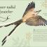 Thumbnail image of An Anthology of Exquisite Birds - 6