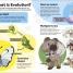 Pokémon Book of Evolutions - thumbnail of spread image 1 Thumbnail image of Pokémon Book of Evolutions - 1