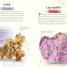 An Anthology of Rocks and Minerals - thumbnail of spread image 1 Thumbnail image of An Anthology of Rocks and Minerals - 1