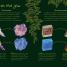 An Anthology of Rocks and Minerals - thumbnail of spread image 2 Thumbnail image of An Anthology of Rocks and Minerals - 2