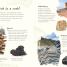 An Anthology of Rocks and Minerals - thumbnail of spread image 4 Thumbnail image of An Anthology of Rocks and Minerals - 4