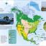 Mi primer atlas de animales (Children's Illustrated Animal Atlas) - thumbnail of spread image 1 Thumbnail image of Mi primer atlas de animales (Children's Illustrated Animal Atlas) - 1