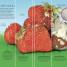 Los ciclos de la naturaleza (Timelines of Nature) - thumbnail of spread image 1 Thumbnail image of Los ciclos de la naturaleza (Timelines of Nature) - 1