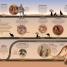 Los ciclos de la naturaleza (Timelines of Nature) - thumbnail of spread image 3 Thumbnail image of Los ciclos de la naturaleza (Timelines of Nature) - 3