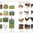 Arabic English Bilingual Visual Dictionary - thumbnail of spread image 3 Thumbnail image of Arabic English Bilingual Visual Dictionary - 3