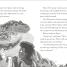 Dinosaur Club Collection Two - thumbnail of spread image 1 Thumbnail image of Dinosaur Club Collection Two - 1