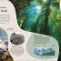 Ocean - thumbnail of spread image 2 Thumbnail image of Ocean - 2