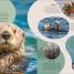 Ocean - thumbnail of spread image 4 Thumbnail image of Ocean - 4