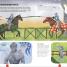 The Met Knights Discover, Press Out & Play - thumbnail of spread image 3 Thumbnail image of The Met Knights Discover, Press Out & Play - 3