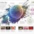 Human Body A Visual Encyclopedia - thumbnail of spread image 1 Thumbnail image of Human Body A Visual Encyclopedia - 1