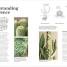 Cacti and Succulents - thumbnail of spread image 2 Thumbnail image of Cacti and Succulents - 2