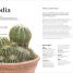 Cacti and Succulents - thumbnail of spread image 5 Thumbnail image of Cacti and Succulents - 5