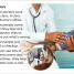 DK Super Readers Level 1 A day in the Life of a Doctor - thumbnail of spread image 2 Thumbnail image of DK Super Readers Level 1 A day in the Life of a Doctor - 2