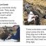 DK Super Readers Level 1 A Day in the Life of a Scientist - thumbnail of spread image 2 Thumbnail image of DK Super Readers Level 1 A Day in the Life of a Scientist - 2