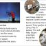 DK Super Readers Level 1 A Day in the Life of a Scientist - thumbnail of spread image 5 Thumbnail image of DK Super Readers Level 1 A Day in the Life of a Scientist - 5