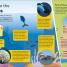 DK Super Planet Wonderful Waterways - thumbnail of spread image 2 Thumbnail image of DK Super Planet Wonderful Waterways - 2