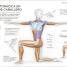 Estiramientos (Science of Stretch) - thumbnail of spread image 3 Thumbnail image of Estiramientos (Science of Stretch) - 3