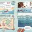 The Fact-Finders Ocean - thumbnail of spread image 1 Thumbnail image of The Fact-Finders Ocean - 1